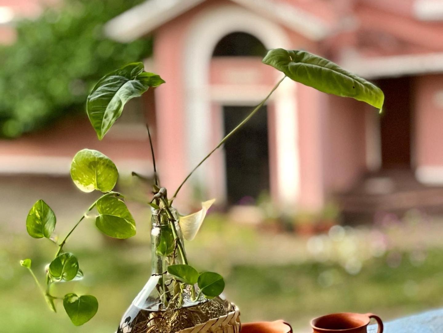 Chalet Saffron Goa Benaulim Dış mekan fotoğraf