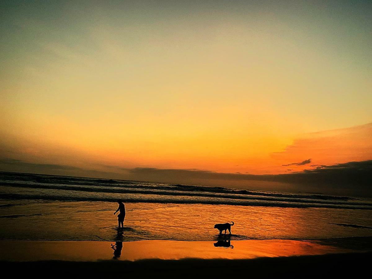 Chalet Saffron Goa Benaulim Dış mekan fotoğraf